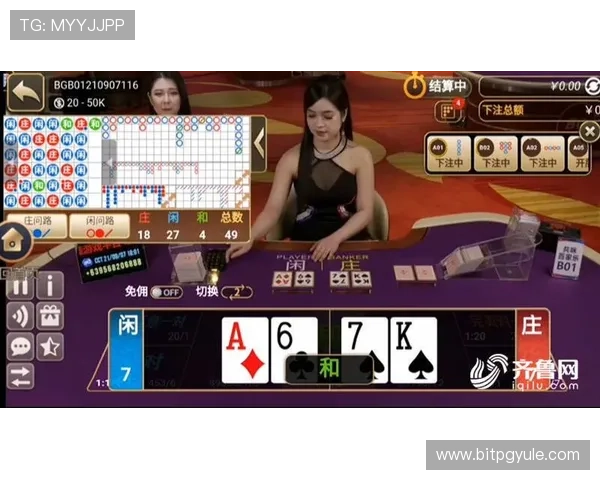 提升真人百家乐赌博体验的实用技巧与注意事项全攻略